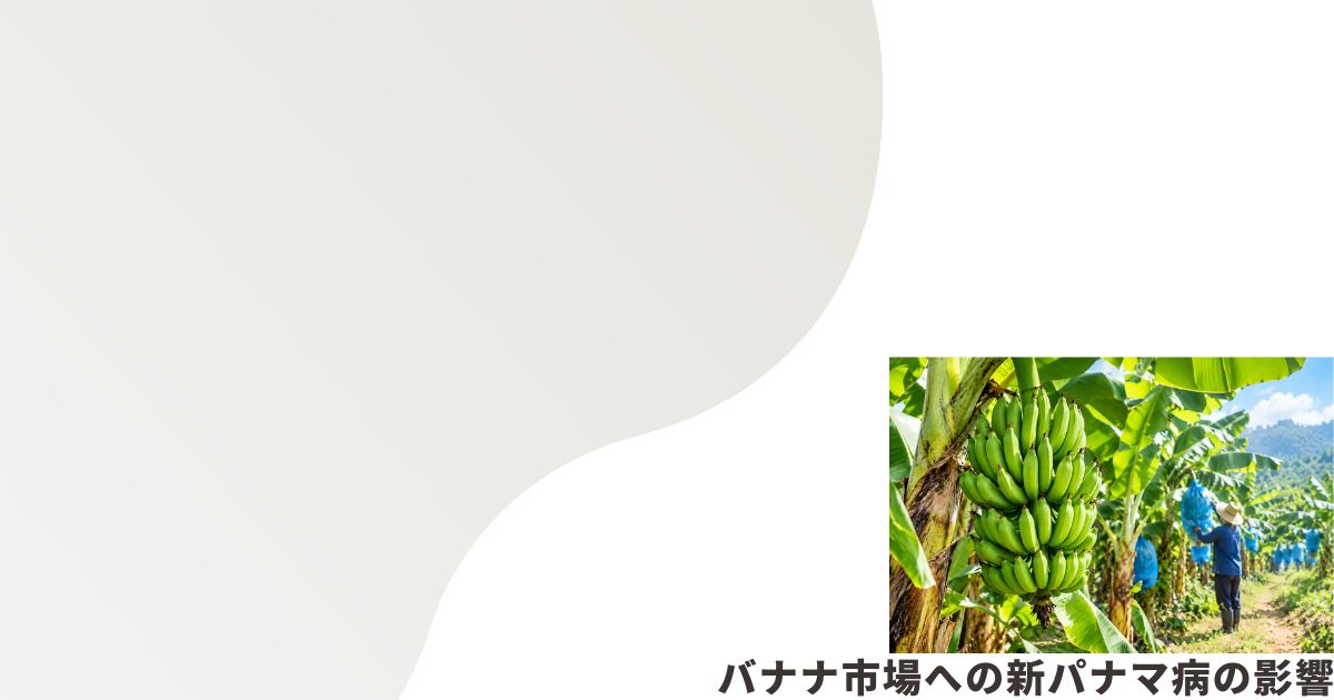 バナナ栽培のイメージ画像